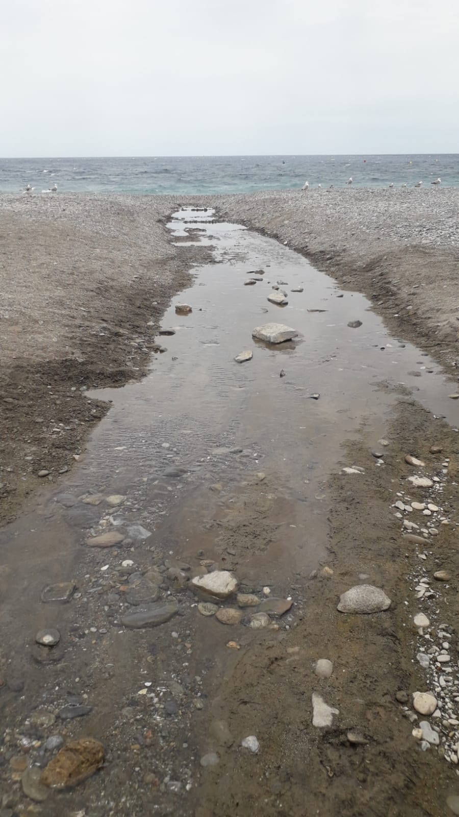 Desde hace semanas se estn vertiendo aguas del acufero de ro Seco al mar.